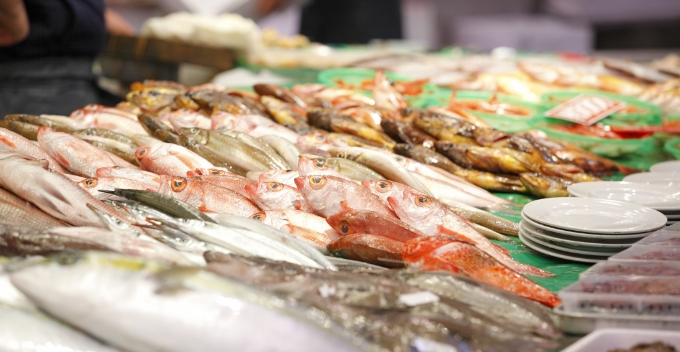 魚市場の写真